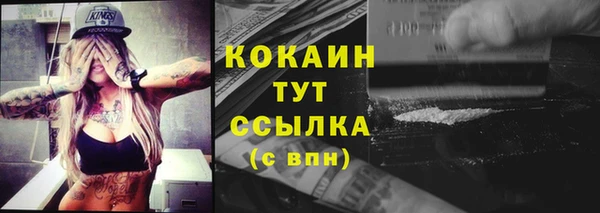 гидра Заводоуковск
