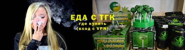 гидра Заводоуковск