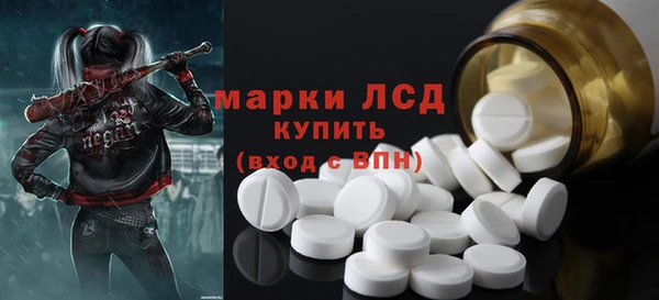 гидра Заводоуковск