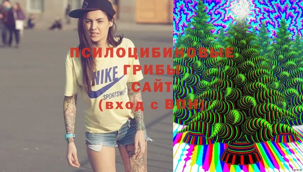 гидра Заводоуковск