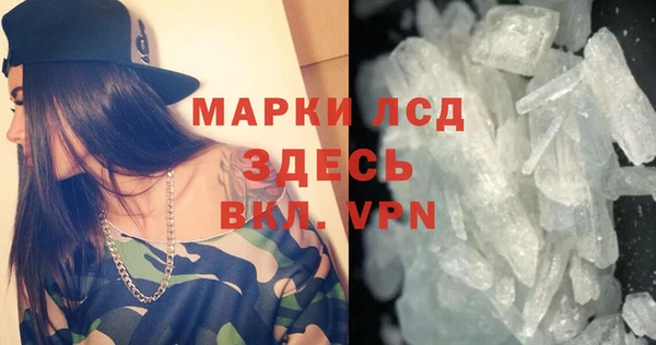гидра Заводоуковск