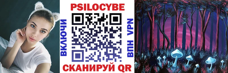 Купить  Нефтегорск  Галлюциногенные грибы Psilocybe 